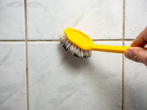 Best Local Mold Removal Service  in Spring Lake, NC