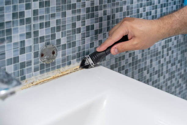 Best Same-Day Mold Removal  in Spring Lake, NC